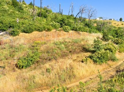 Pine Tree Ln, Berry Creek, CA 95916 Photo