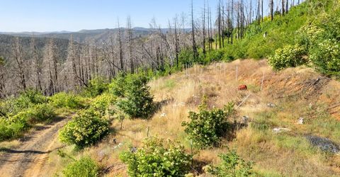 Pine Tree Ln, Berry Creek, CA 95916 Photo