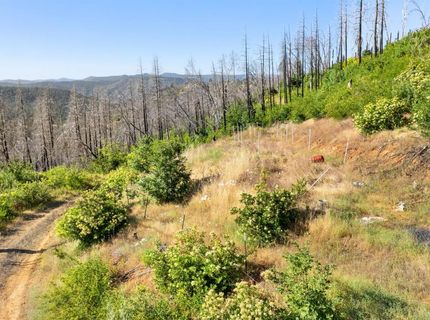 Pine Tree Ln, Berry Creek, CA 95916 Photo