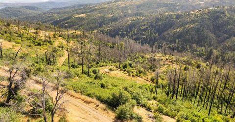 Pine Tree Ln, Berry Creek, CA 95916 Photo