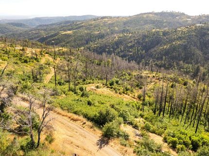 Pine Tree Ln, Berry Creek, CA 95916 Photo