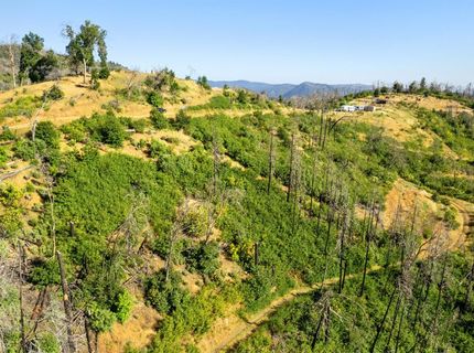 Pine Tree Ln, Berry Creek, CA 95916 Photo