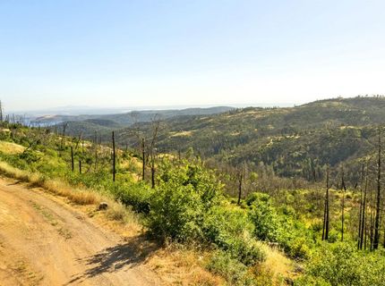 Pine Tree Ln, Berry Creek, CA 95916 Photo