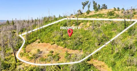 Pine Tree Ln, Berry Creek, CA 95916 Photo