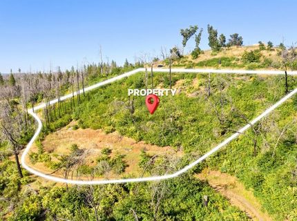 Pine Tree Ln, Berry Creek, CA 95916 Photo