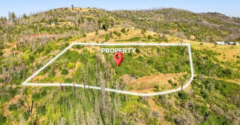 Pine Tree Ln, Berry Creek, CA 95916 Photo