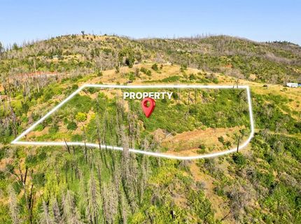 Pine Tree Ln, Berry Creek, CA 95916 Photo