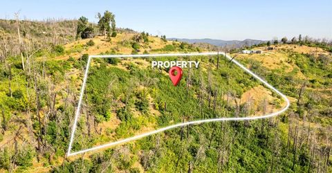 Pine Tree Ln, Berry Creek, CA 95916 Photo