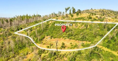 Pine Tree Ln, Berry Creek, CA 95916 Photo