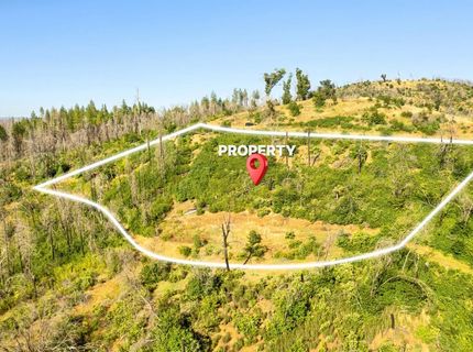 Pine Tree Ln, Berry Creek, CA 95916 Photo