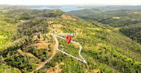 Pine Tree Ln, Berry Creek, CA 95916 Photo