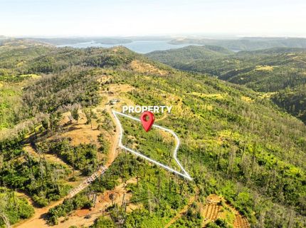 Pine Tree Ln, Berry Creek, CA 95916 Photo