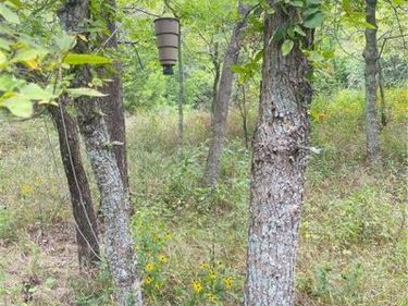 4750 labette Terrace, Rantoul, KS 66079