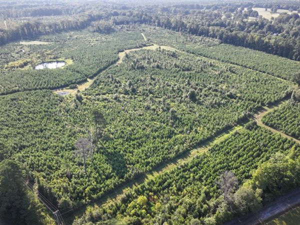 00 Highway 50, Pheba, MS 39755