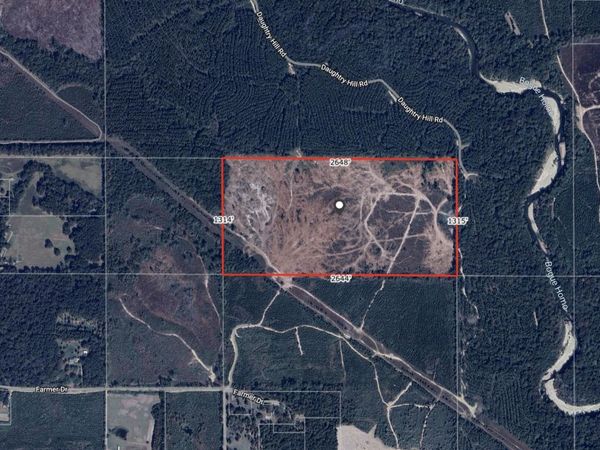 80 Ac Off Farmer Drive, Richton, MS 39476