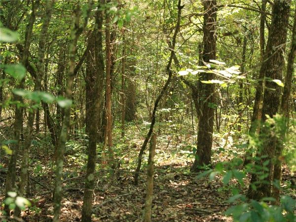 201 E Bo Peep Circle, Horseshoe Bend, AR 72512