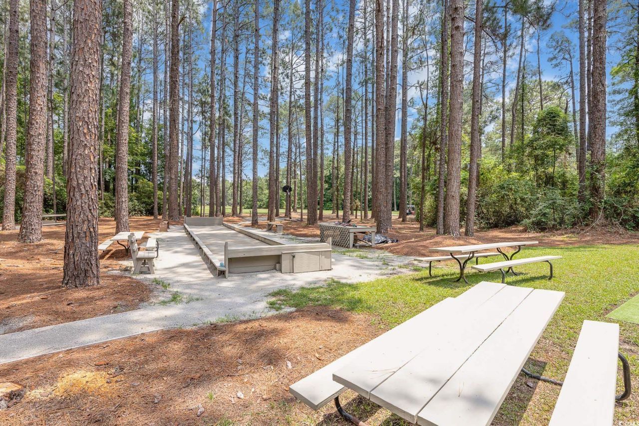 137 Hickory Dr. Photo 39