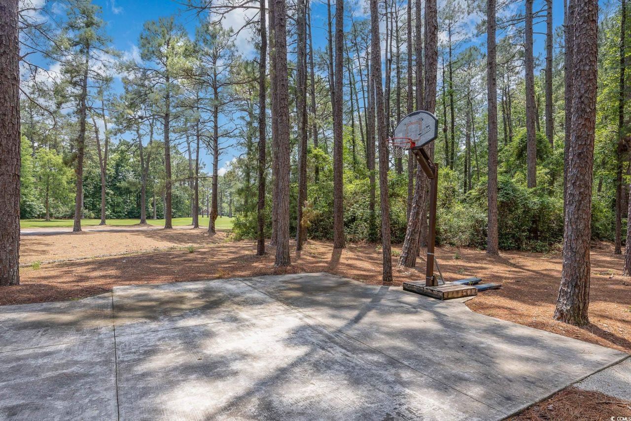 137 Hickory Dr. Photo 41