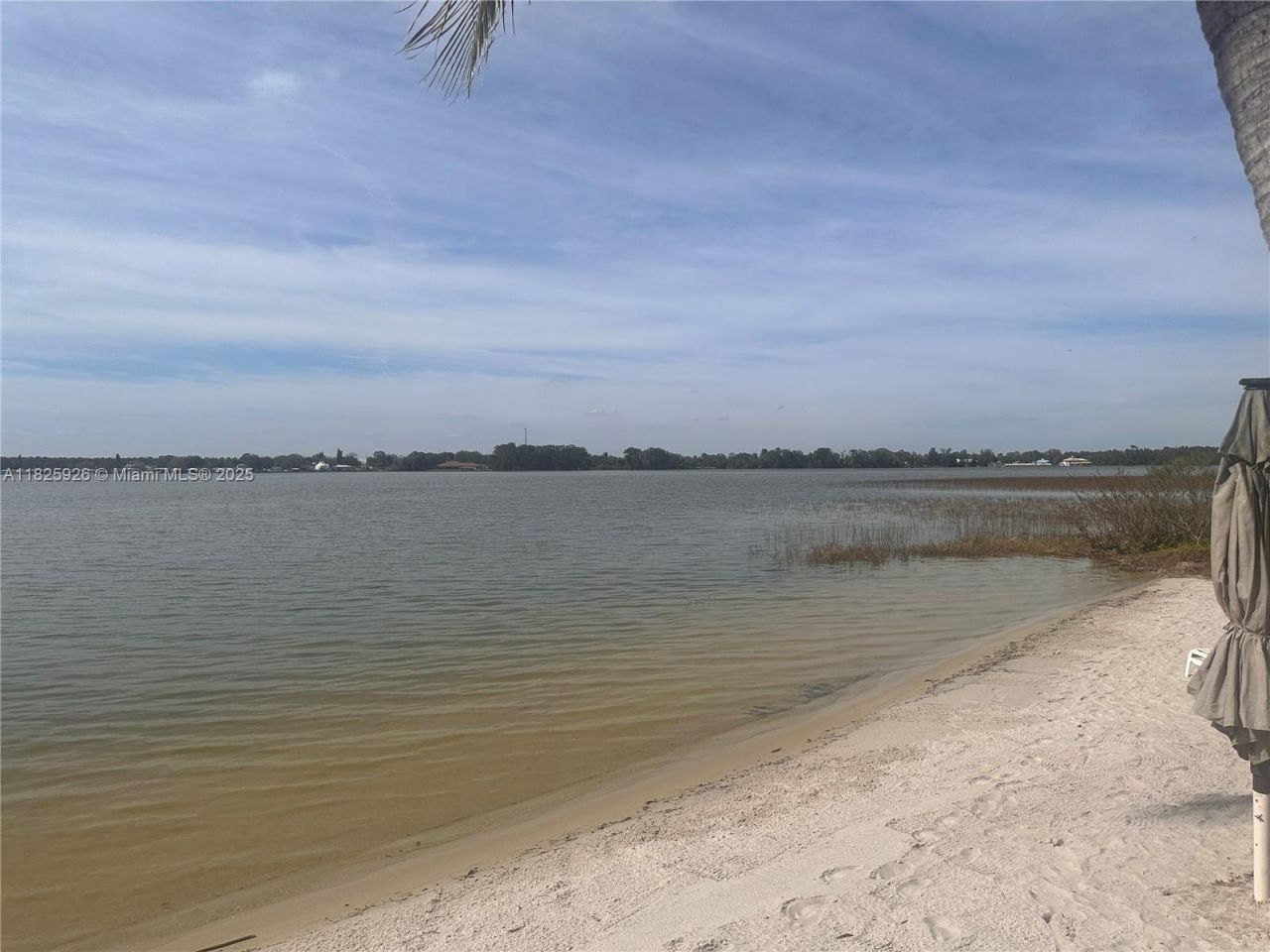 131 Blue Moon Avenue, Lake Placid, FL 33852 Photo