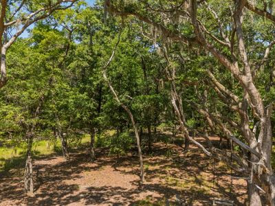 31 Tupelo Trail, Edisto Island, SC 29438