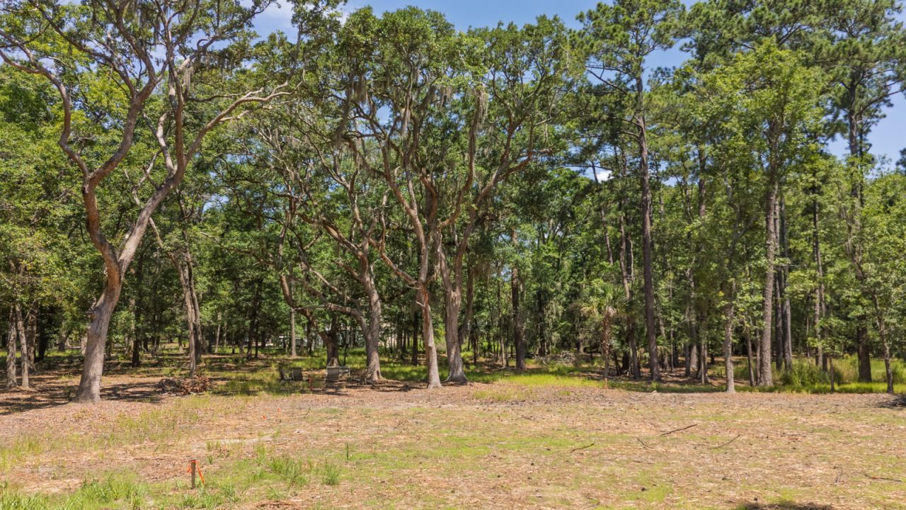 31 Tupelo Trail Photo 12