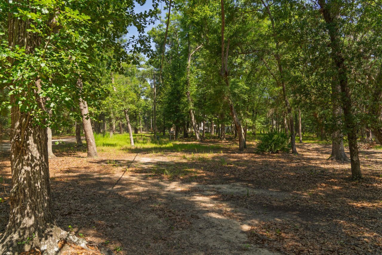 31 Tupelo Trail Photo 16