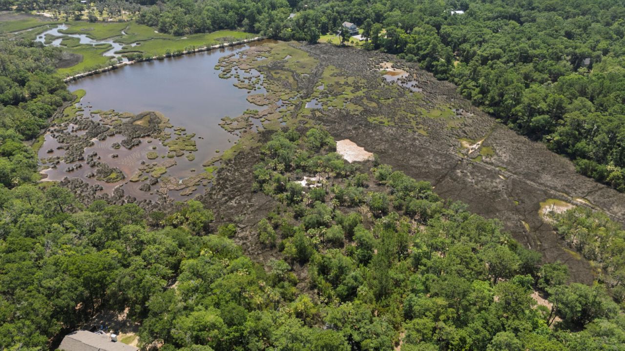 31 Tupelo Trail Photo 6