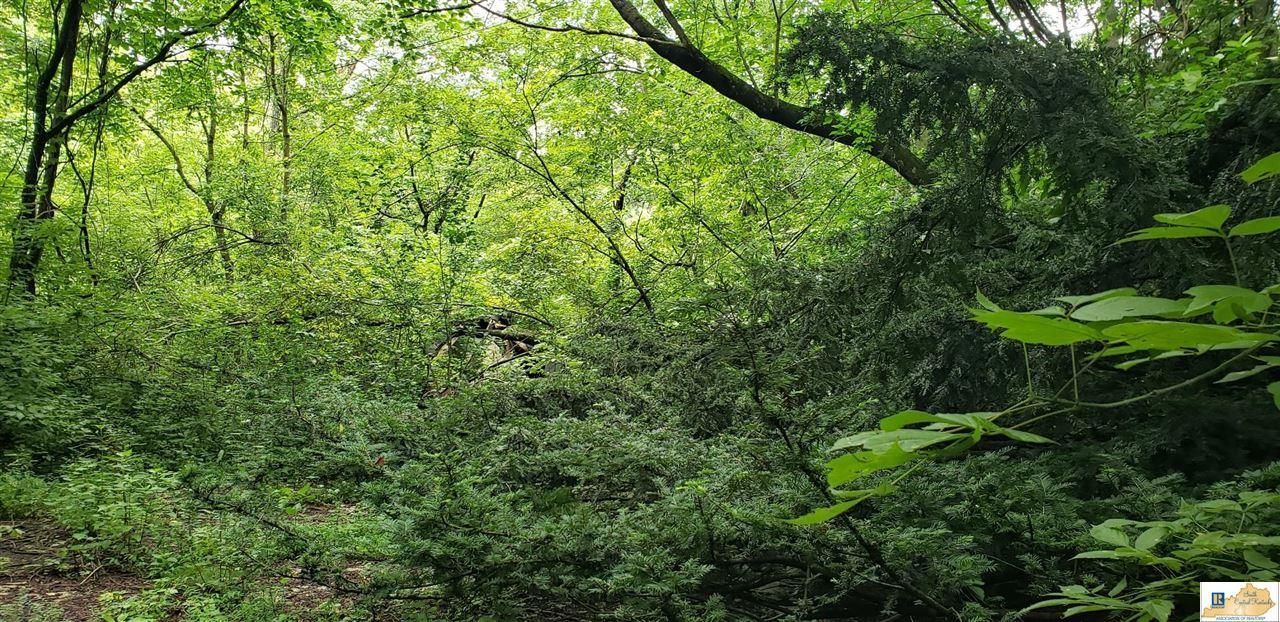 1018 Pine Ridge Road, Bonnieville, KY 42713 Main Photo