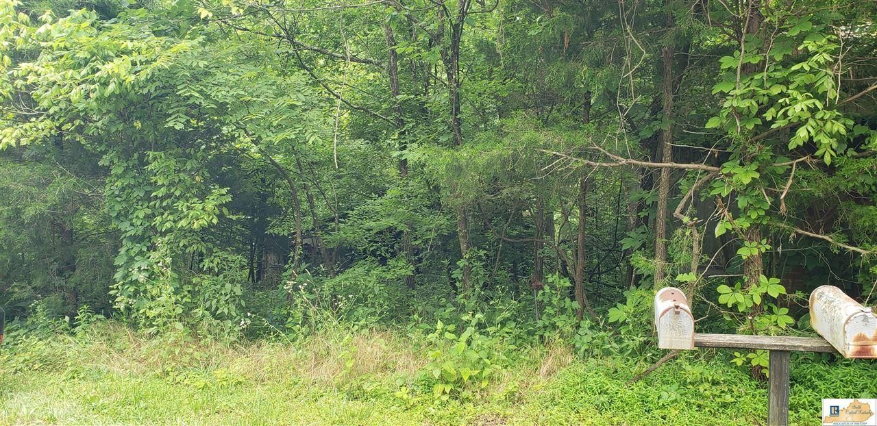 0 Mt Vernon Road, Bonnieville, KY 42713 Main Photo