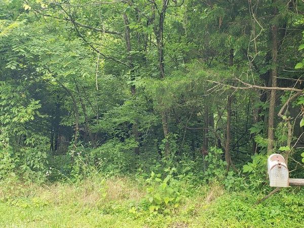 0 Mt Vernon Road, Bonnieville, KY 42713