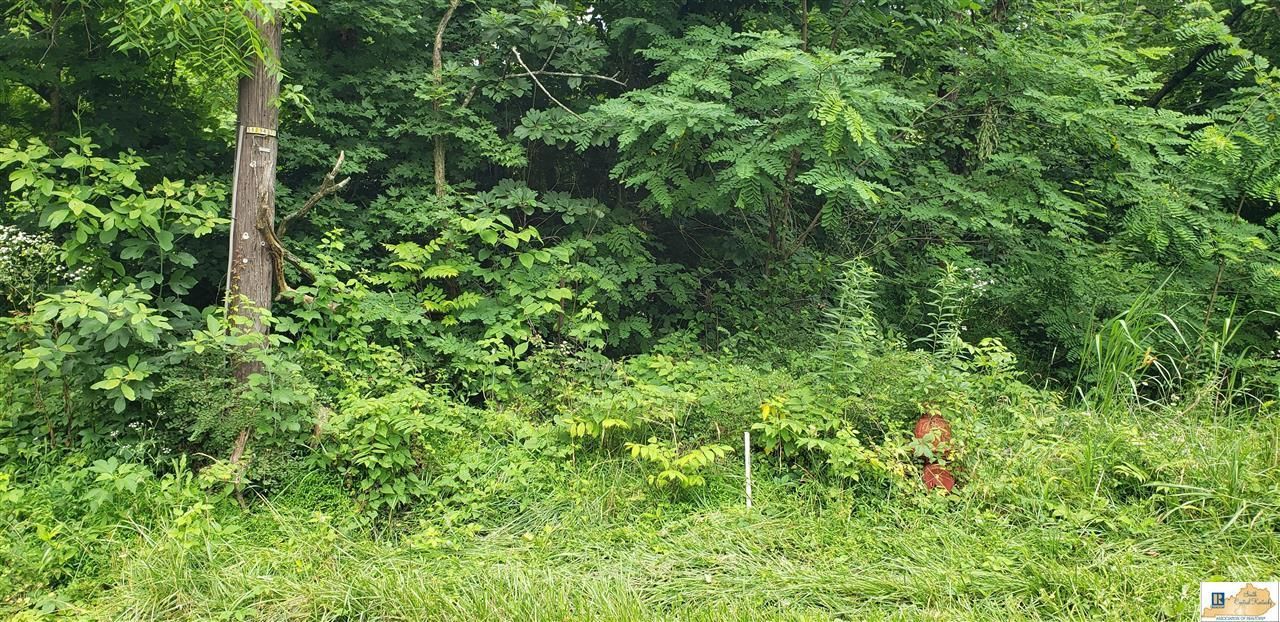 0 Catholic Hill Road, Bonnieville, KY 42713 Main Photo