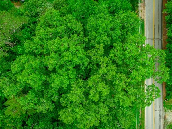 7441 Short Tail Springs Road, Harrison, TN 37341