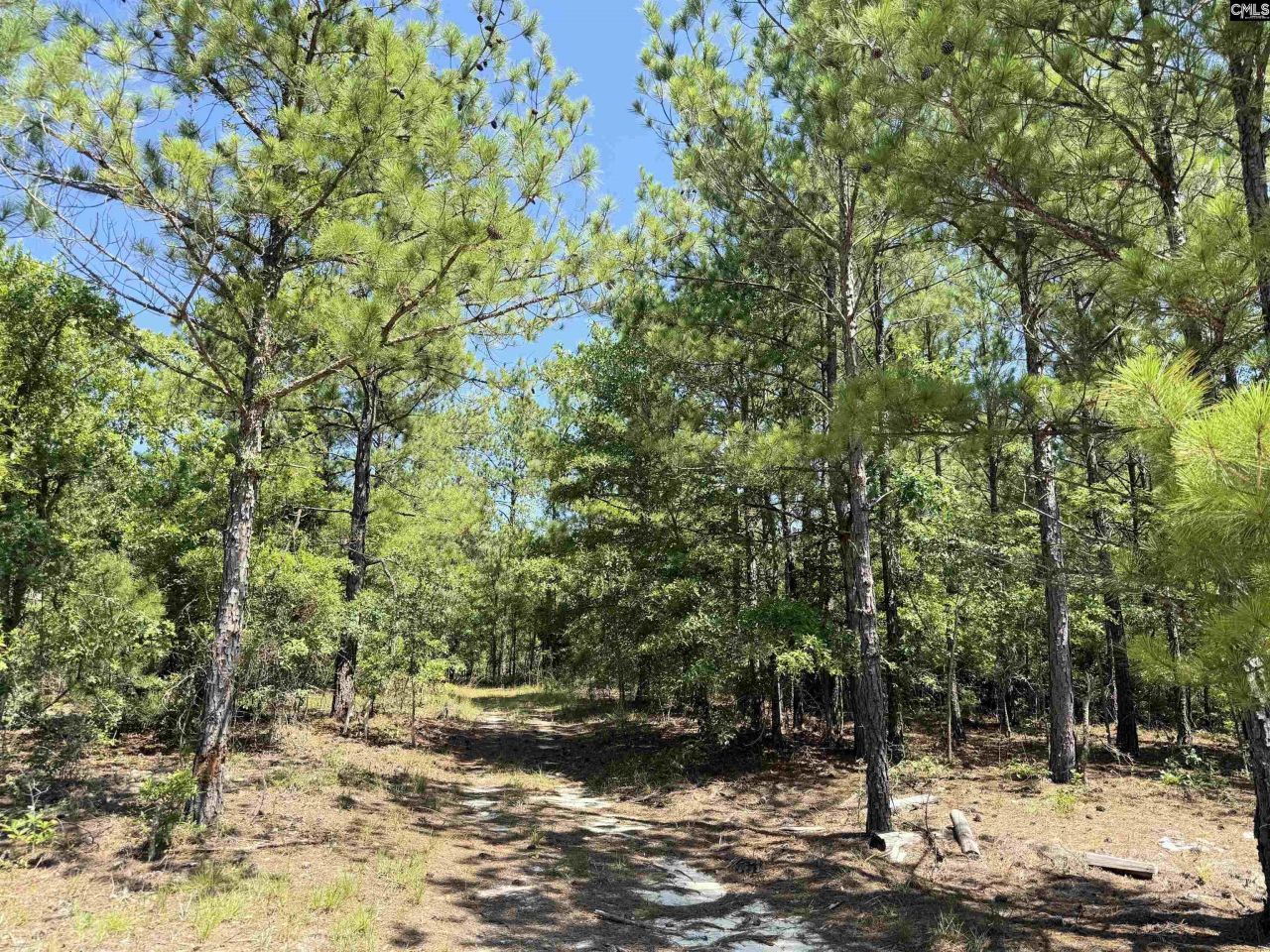 1137 A Smyrna Road Photo 13