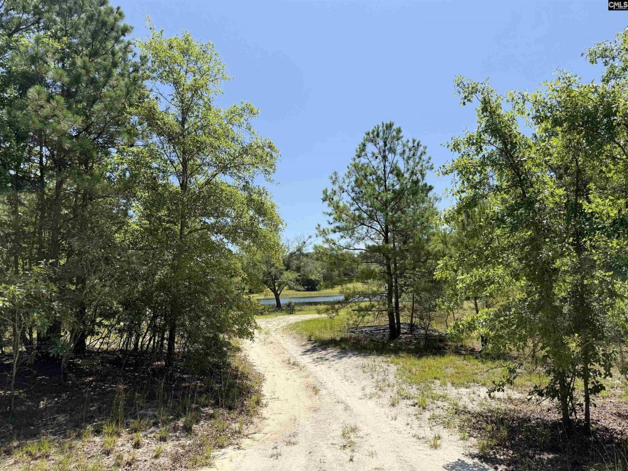 1137 A Smyrna Road Photo 14