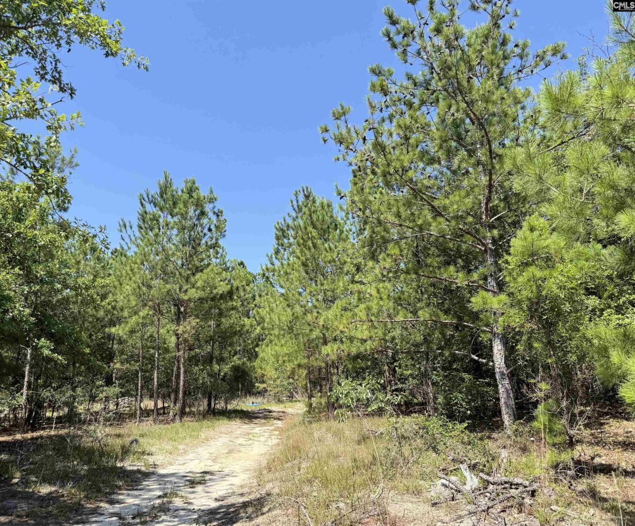 1137 A Smyrna Road Photo 15