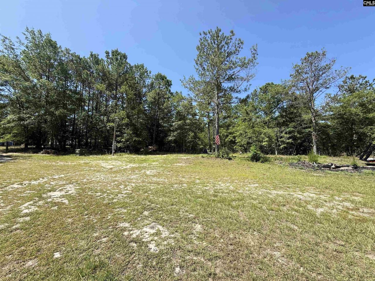 1137 A Smyrna Road Photo 16