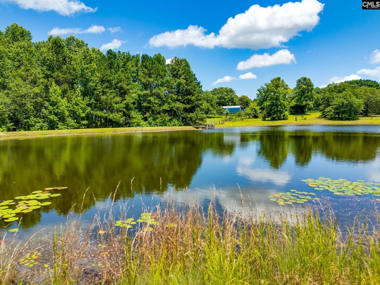 1137 A Smyrna Road Photo 26