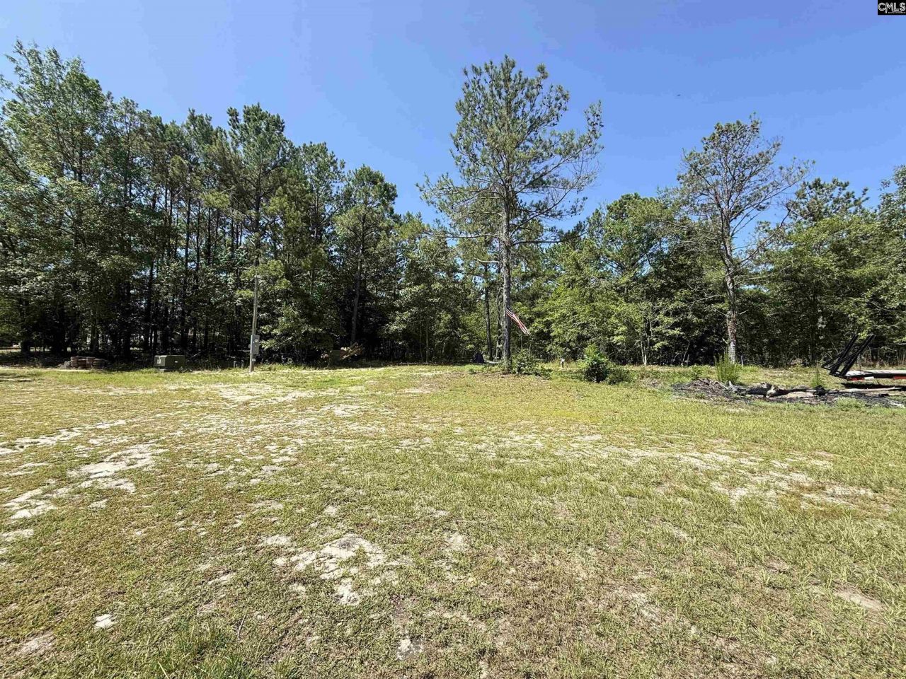 1137 A Smyrna Road Photo 4