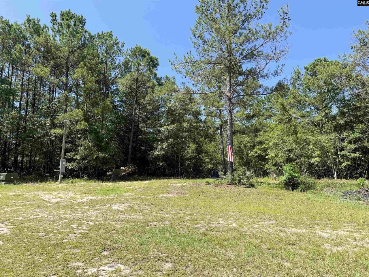 1137 A Smyrna Road Photo 8