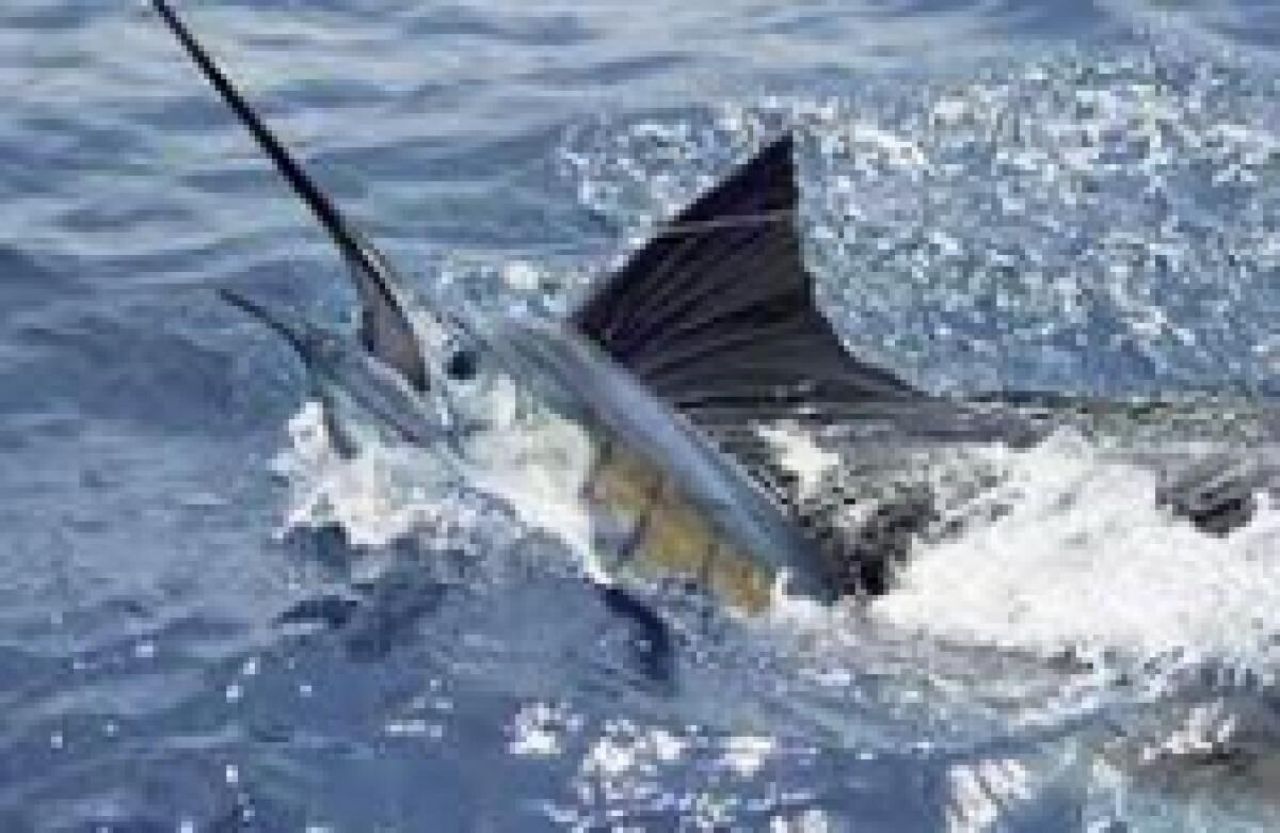 1951 SE Erwin Road, Port Saint Lucie, FL 34952 Photo