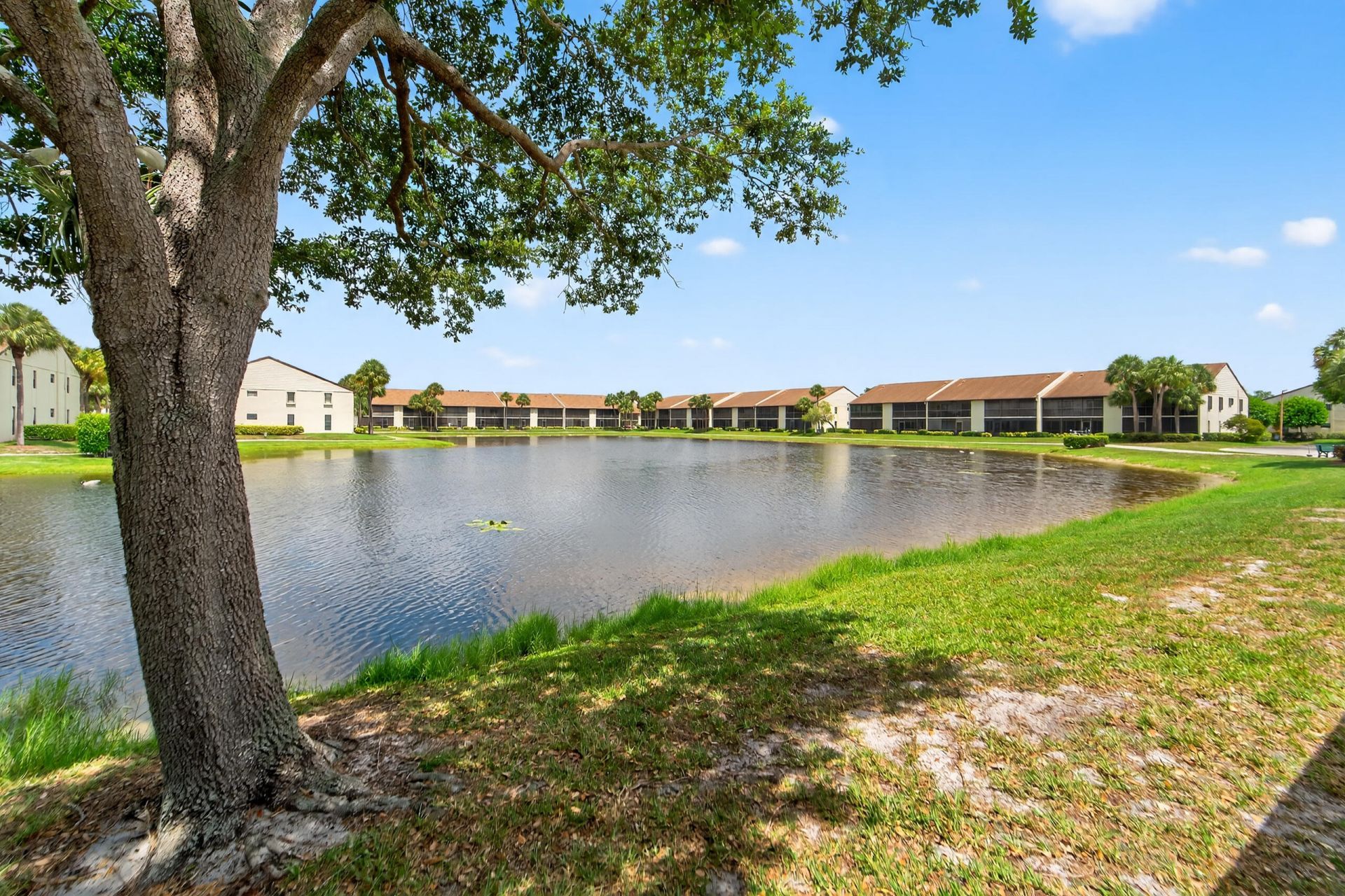 7903 Willow Spring Drive, Unit 1125, Lake Worth, FL 33467 Photo