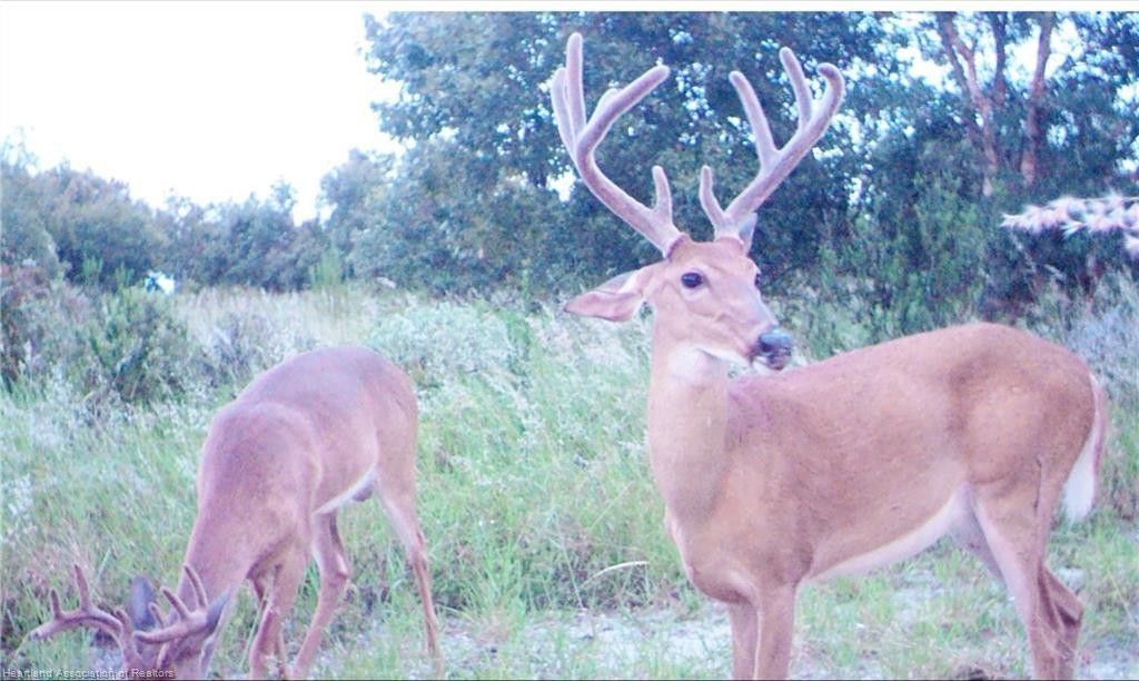 5525b Sparta Road, Sebring, FL 33875 Photo