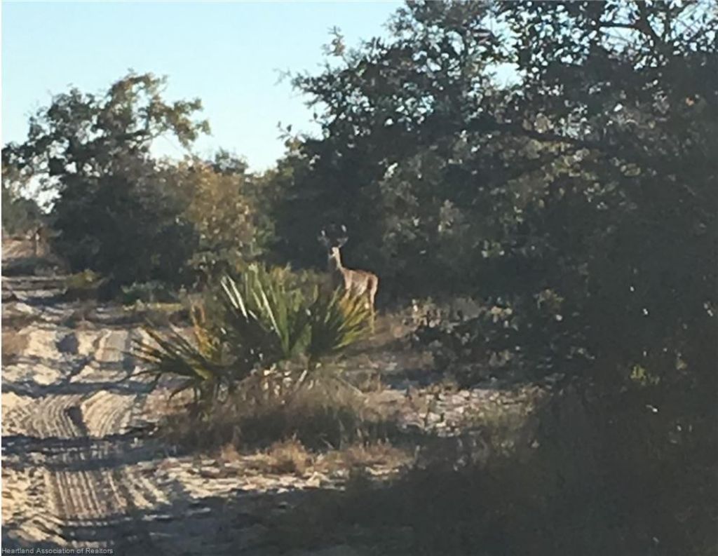 5525b Sparta Road, Sebring, FL 33875 Photo