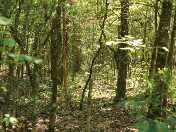 210 E Bo Peep Lane, Horseshoe Bend, AR 72512