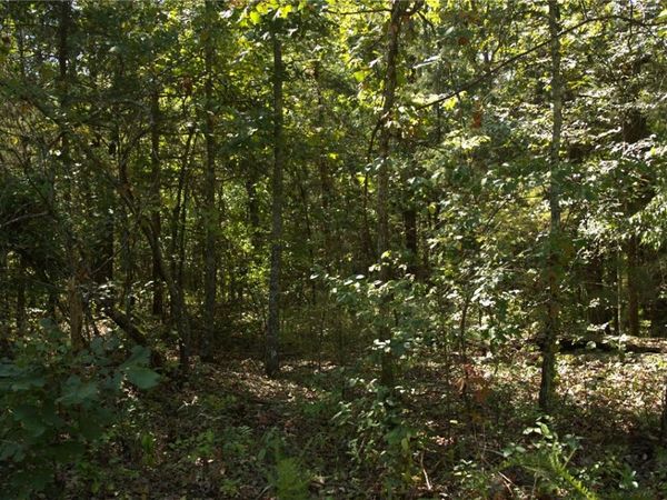 1505 Blackbird Lane, Horseshoe Bend, AR 72512