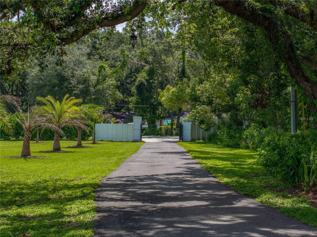 7427 20th Street, Zephyrhills, FL 33540 Photo