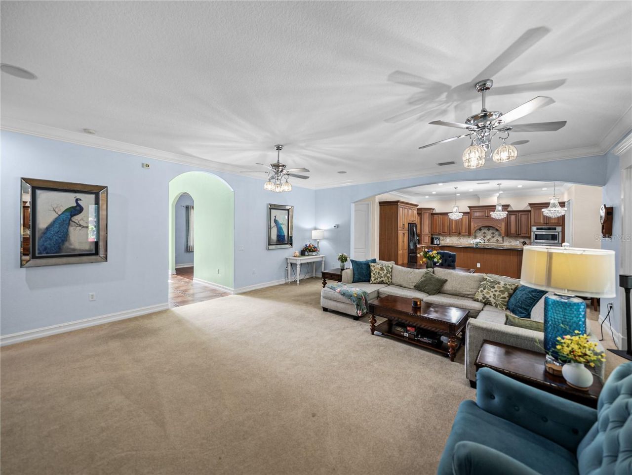 7427 20th Street, Zephyrhills, FL 33540 Photo