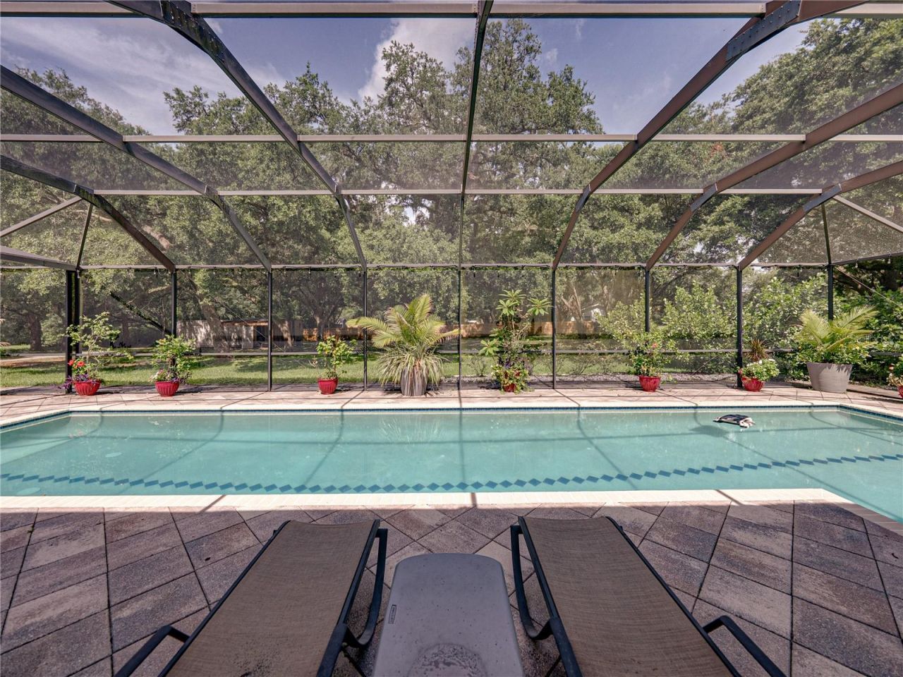 7427 20th Street, Zephyrhills, FL 33540 Photo