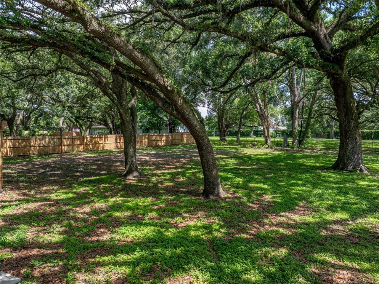 7427 20th Street, Zephyrhills, FL 33540 Photo