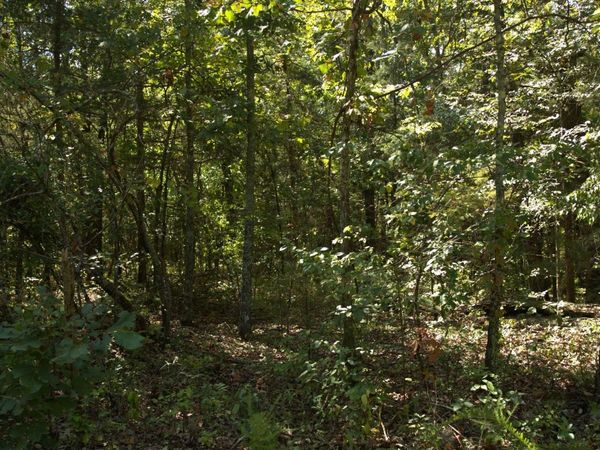 1505 Blackbird Lane, Horseshoe Bend, AR 72512